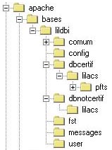 Directorios para las bases
